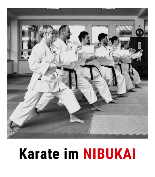 Shotokan, Karate Do